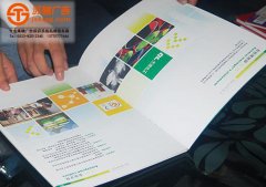 �~�漈����_�~�漈���������OӋ����